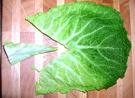 Chicken Savoy