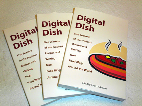 Digital Dish copyright 2005 Press For Change Publishing LLC