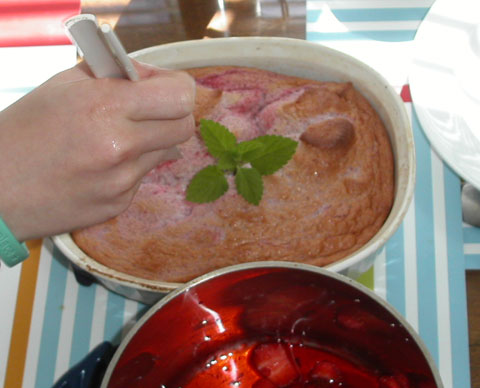 Strawberry Souffle copyright 2005 Owen Linderholm