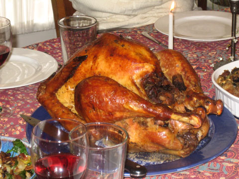 Thanksgiving Turkey Copyright Owen Linderholm 2005